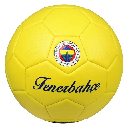 FENERBAHÇE FUTBOL TOPU PREMIUM NO :5 482658