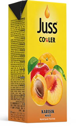 Juss Cooler Karışık Meyve Suyu 200 ml 27'li