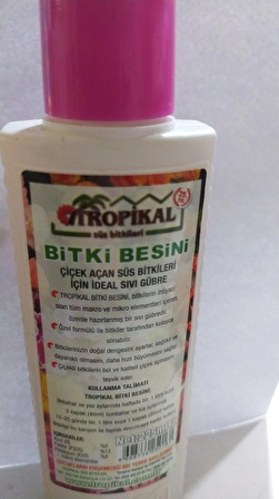 BİTKİ BESİNİ ÇİÇEK AÇAN SÜS BİTKİLERİ