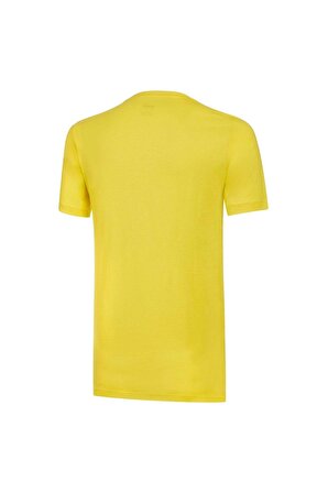 Fenerbahçe Orijinal Puma Tshirt, Lisanslı Sarı Tshirt