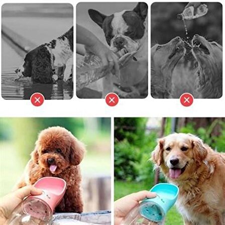 PET Miyav® Taşınabilir Evcil Hayvan Suluğu Seyahat Kabı Kilitlenebilen Su Sızdırmaz Kap 350 ml