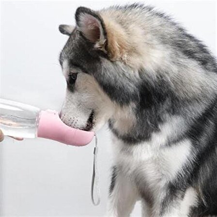 PET Miyav® Taşınabilir Evcil Hayvan Suluğu Seyahat Kabı Kilitlenebilen Su Sızdırmaz Kap 350 ml