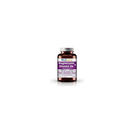 Wellcare Magnezyum+Vitamin B6 Takviye Edici Gıda 30 Tablet