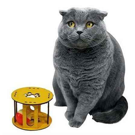 PET Miyav® Ahşap Kafes Renkli Toplu Kedi Patisi Desenli Sesli Kedi Oyuncağı