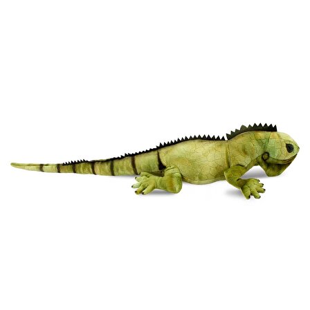 İguana 66 cm