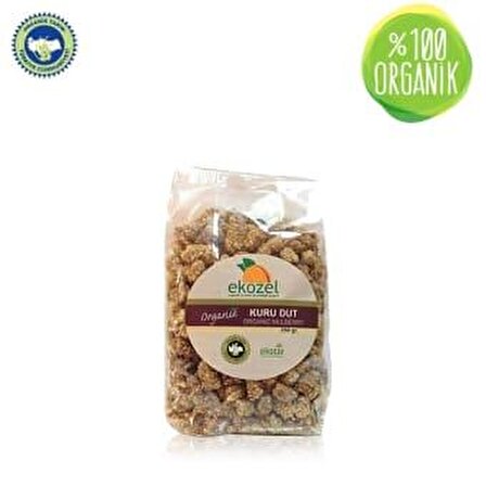 Organik Kuru Dut (250 gr)