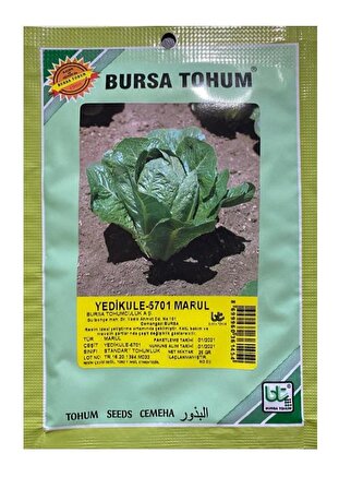 Bursa Tohum Yedikule-5701 marul 25 gr