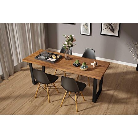 Woodesk Luna Ağaç Ayaklı 4 ADET Eames Siyah Sandalye SND3013-4SYH