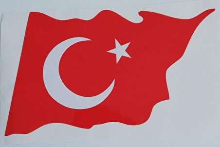 Türk Bayrağı Oto Sticker 39X22 cm Büyük Boy