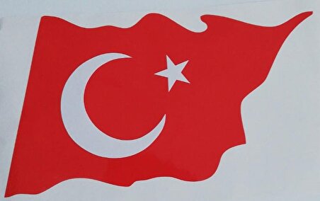 Türk Bayrağı Oto Sticker 19X11 cm Küçük Boy