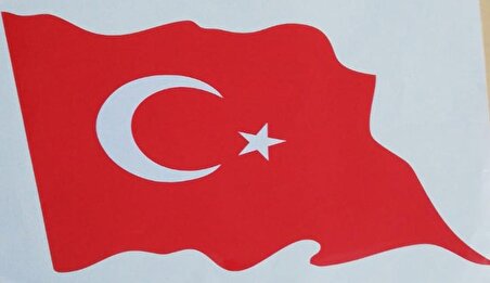 Türk Bayrağı Oto Sticker 30X18 cm Orta Boy