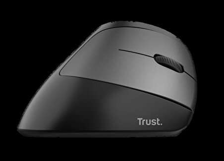 Trust 24731 Bayo Şarjlı RGB Ergonomik Dikey Mouse