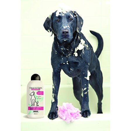 Wahl Clean & Calm 3999-7030 Okaliptüs ve Lavanta Özlü Yatıştırıcı 750 ml Köpek Şampuanı