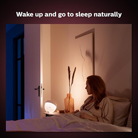 Philips Hue Iris Copper - 929002376803