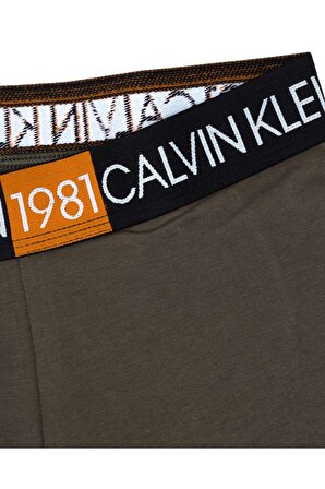 Erkek Calvin Klein Underwear Bottoms Erkek Boxer 000NB2050A