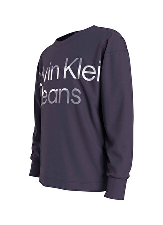 Calvin Klein Baskılı Mor Erkek Çocuk T-Shirt IB0IB01702VGS