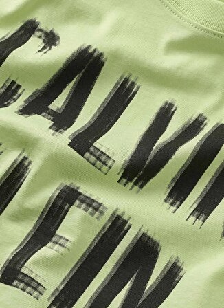 Calvin Klein Baskılı Yeşil Erkek T-Shirt PIXEL LOGO RELAXED SS T-SHIRT