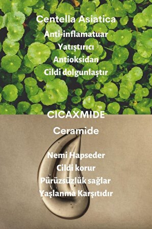 Dermal Ugarden Cicaplus Centella Asiatica ve Seramid Özlü Sakinleştirici ve Nemlendirici Tonik