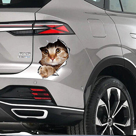 Renkli Kedi Araba Sticker yapıştırması 16cm
