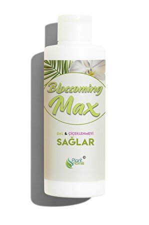 Blossoming Max Dal Ve Çiçeklenmeyi Sağlayan Güçlü Besin 100 Ml
