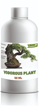 Vigorous Plant Bonsai Besini Vitamini - Konsantre Sıvı Bitki Besini 50 ML