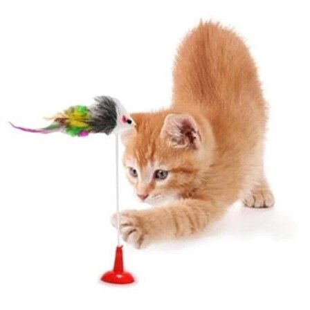 MyVirtus 2li Vantuzlu Fareli Tüylü Hareketli Çanlı ve Esneyen Eğlenceli Peluş Kedi Oyuncağı