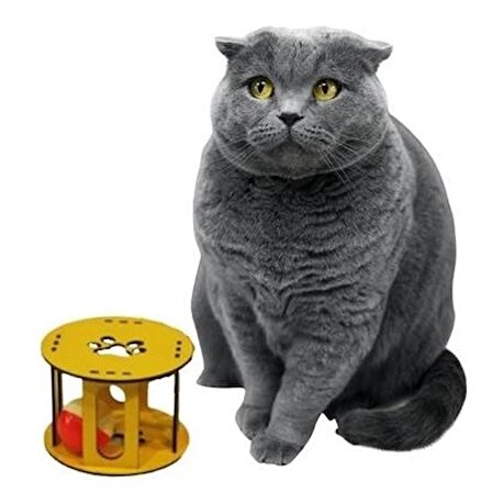 MyVirtus Ahşap Kafes Renkli Toplu Kedi Patisi Desenli Sesli Kedi Oyuncağı