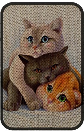 Fine Cat Desenli Kedi Tırmalama Paspası 60 x 40 cm