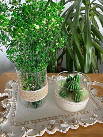 Beyaz Varak Tepsili Dekoratif Mum ve Cam Vazo Yeşil Çiçek Kaktüs Temalı 3lü Set