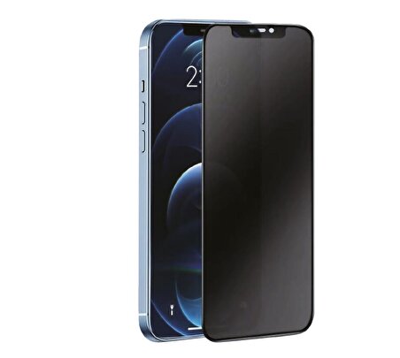 Samsung Galaxy S21 FE 3D Antistatik Hayalet Cam Ekran Koruyucu
