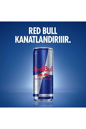 Redbull Enerji Içeceği 250 Ml Original X 12 Adet