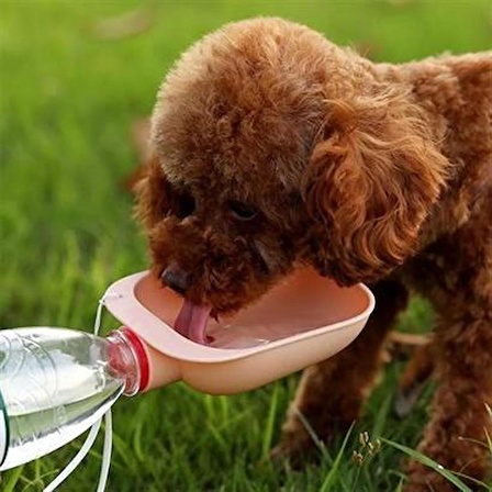 Evcil Hayvan Plastik Yıkanabilir Taşınabilir Su Şişesi Bağlantılı Su Kabı