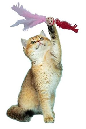 Tüylü Püsküllü Kedi Oyuncağı Dikkat Çekici Renkli Sevimli Evcil Hayvan Oyuncağı