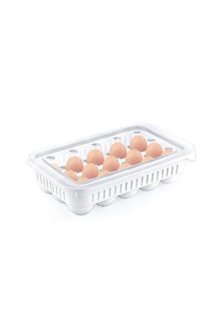 Yumurta saklama kabı 15'li 2 adet , Steril yumurtalık, Kapaklı yumurta organizeri