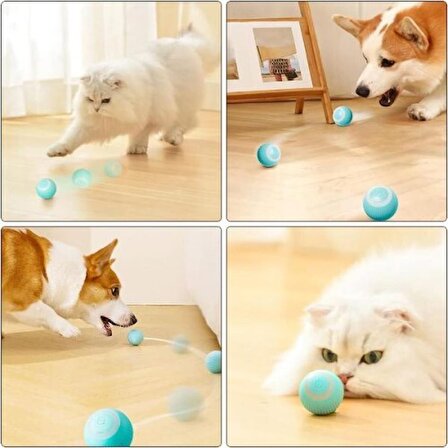İnteraktif Kedi Köpek Şarjlı Oyun Topu
