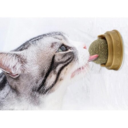 192 Kedi Nanesi Cat Mint Oyun Topu