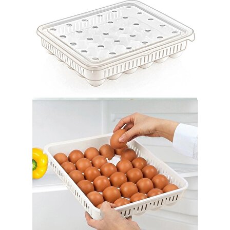 Yumurta Saklama Kabı 30'lu 1 Adet, Steril Yumurtalık, Kapaklı Yumurta Organizeri