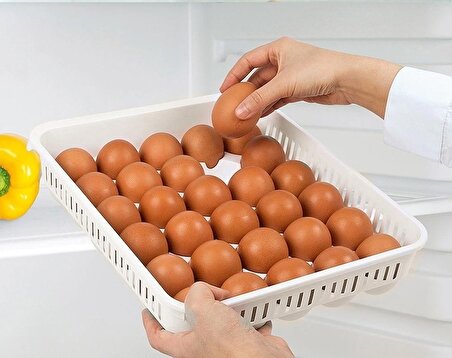 Yumurta Saklama Kabı 30'lu 1 Adet, Steril Yumurtalık, Kapaklı Yumurta Organizeri