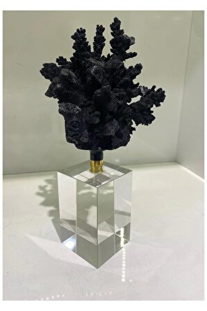 Doğal Mercan Siyah Kristal Ayaklı Dekoratif Obje