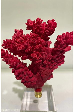 Doğal Mercan Kırmızı Kristal Ayaklı Dekoratif Obje