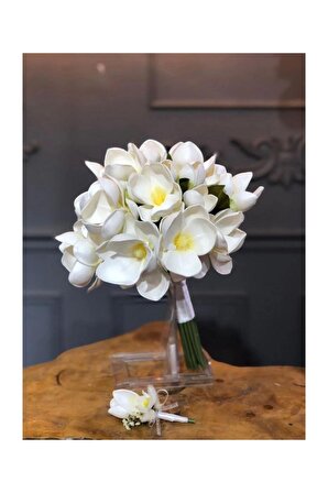 Islak Beyaz Manolya Gelin Çiçeği Seti