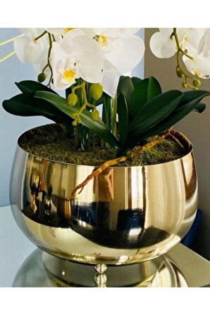 Büyük Gold Metal Orkide Saksısı Vazo / Çiçekler Görsel Amaçlı Kullanılmıştır.