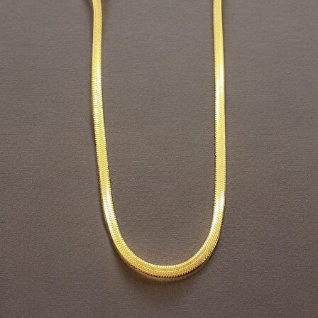 Minimal Şıklık: Arpa Model Parlak Altın Renk Uzun Zincir Çelik Kadın Kolyesi - 🌾💫