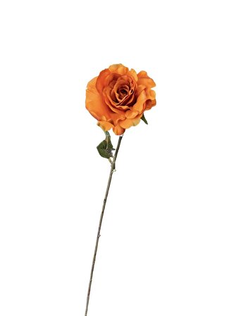 Kuk Çiçek Rose Spray X1 Orange 71 cm