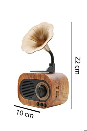 B5 Nostaljik Mini Radyo Gramofon Bluetooth Hoparlör Fm Usb Sd Yüksek Ses Speaker