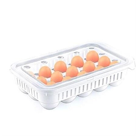 Periboia 15li Yumurta Saklama Kabı