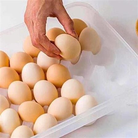 Periboia 30lu Yumurta Saklama Kabı