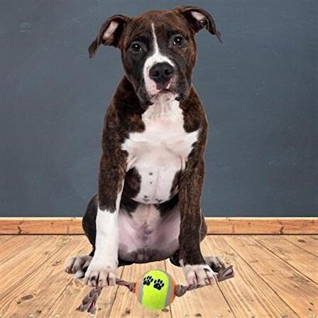 Periboia Renkli Halat Ve Tenis Toplu Yumaklı Köpek Çekiştirme Halat Oyuncağı