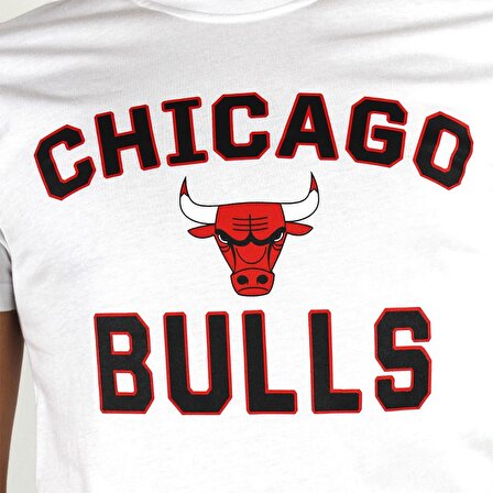 New Era Chicago Bulls Erkek T-Shirt