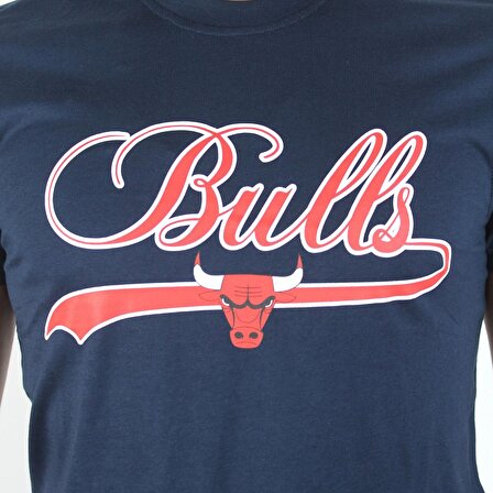 New Era Bulls Erkek T-Shirt